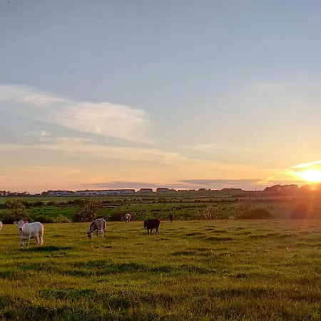 Catbells Σπίτι διακοπών Arlecdon